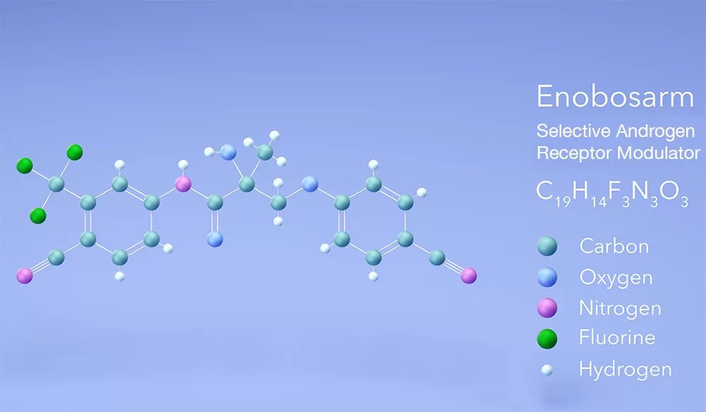 Selective Androgen Receptor Modulators Molecule (SARMS)